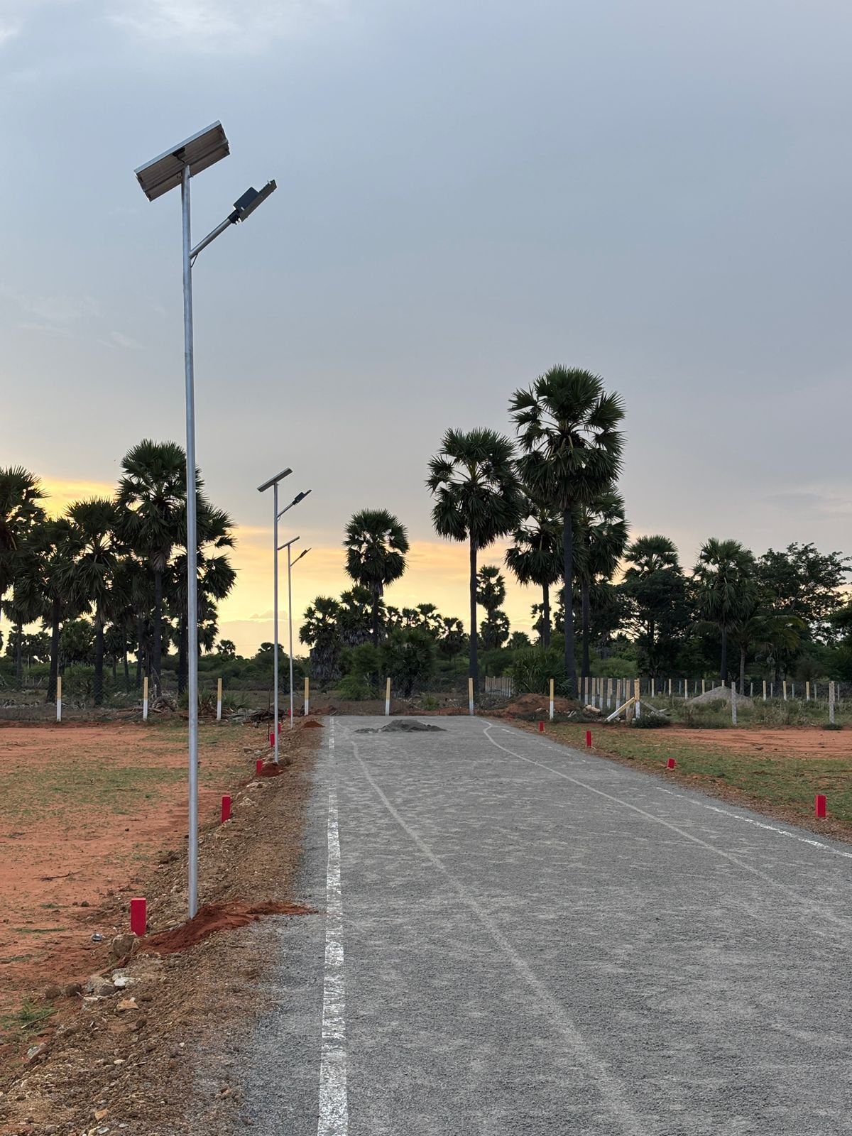 Solar Lights